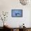 Hyacinth Macaw-Joe McDonald-Framed Stretched Canvas displayed on a wall