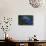 Hyacinth Macaw-DLILLC-Photographic Print displayed on a wall
