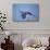 Hyacinth Macaw-Joe McDonald-Photographic Print displayed on a wall