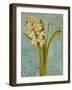 Hyacinth on Teal I-Lanie Loreth-Framed Art Print