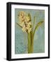 Hyacinth on Teal I-Lanie Loreth-Framed Art Print