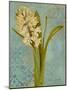 Hyacinth on Teal I-Lanie Loreth-Mounted Art Print