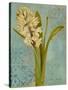 Hyacinth on Teal I-Lanie Loreth-Stretched Canvas