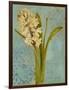 Hyacinth on Teal I-Lanie Loreth-Framed Art Print