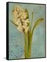 Hyacinth on Teal I-Lanie Loreth-Framed Stretched Canvas