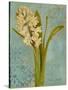 Hyacinth on Teal I-Lanie Loreth-Stretched Canvas