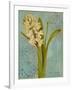 Hyacinth on Teal I-Lanie Loreth-Framed Art Print