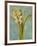 Hyacinth on Teal I-Lanie Loreth-Framed Art Print