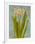 Hyacinth on Teal II-Lanie Loreth-Framed Art Print