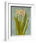 Hyacinth on Teal II-Lanie Loreth-Framed Art Print