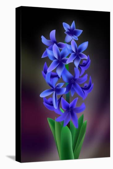 Hyacinth-Ikuko Kowada-Stretched Canvas