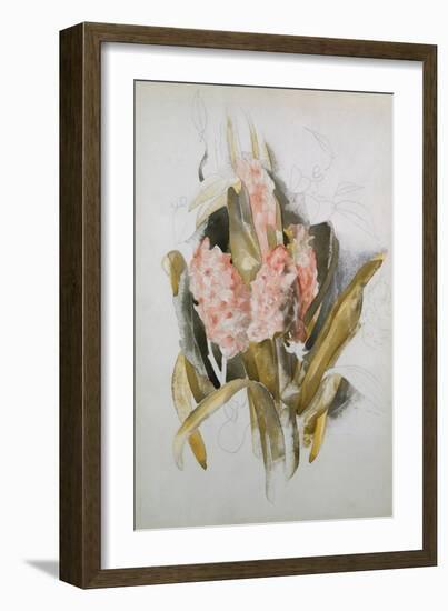 Hyacinth-Thomas Jones Barker-Framed Giclee Print