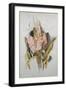 Hyacinth-Thomas Jones Barker-Framed Giclee Print