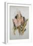 Hyacinth-Thomas Jones Barker-Framed Giclee Print