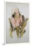 Hyacinth-Thomas Jones Barker-Framed Giclee Print