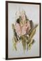 Hyacinth-Thomas Jones Barker-Framed Giclee Print