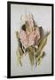 Hyacinth-Thomas Jones Barker-Framed Giclee Print