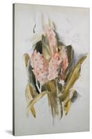 Hyacinth-Thomas Jones Barker-Stretched Canvas