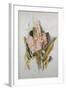 Hyacinth-Thomas Jones Barker-Framed Giclee Print