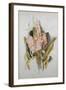 Hyacinth-Thomas Jones Barker-Framed Giclee Print