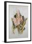 Hyacinth-Thomas Jones Barker-Framed Giclee Print