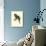 Hyacinthine Macaw-null-Art Print displayed on a wall