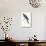 Hyacinthine Parakeet-Edward Lear-Premium Giclee Print displayed on a wall