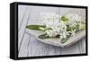 Hyacinths, White, Spring Flowers, Blossoms, Wooden Bowl-Andrea Haase-Framed Stretched Canvas