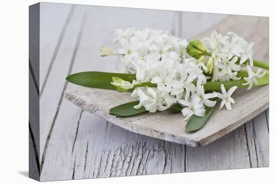 Hyacinths, White, Spring Flowers, Blossoms, Wooden Bowl-Andrea Haase-Stretched Canvas