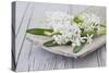 Hyacinths, White, Spring Flowers, Blossoms, Wooden Bowl-Andrea Haase-Stretched Canvas