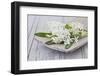 Hyacinths, White, Spring Flowers, Blossoms, Wooden Bowl-Andrea Haase-Framed Photographic Print