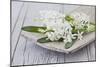 Hyacinths, White, Spring Flowers, Blossoms, Wooden Bowl-Andrea Haase-Mounted Photographic Print