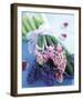 Hyacinths-Pernilla Bergdahl-Framed Art Print
