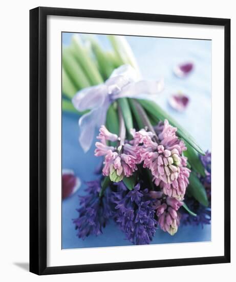 Hyacinths-Pernilla Bergdahl-Framed Art Print