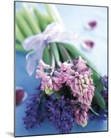 Hyacinths-Pernilla Bergdahl-Mounted Art Print