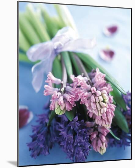 Hyacinths-Pernilla Bergdahl-Mounted Art Print