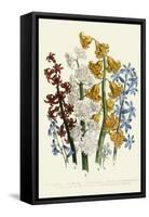 Hyacinths-null-Framed Stretched Canvas