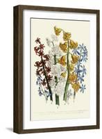 Hyacinths-null-Framed Giclee Print