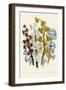 Hyacinths-null-Framed Giclee Print