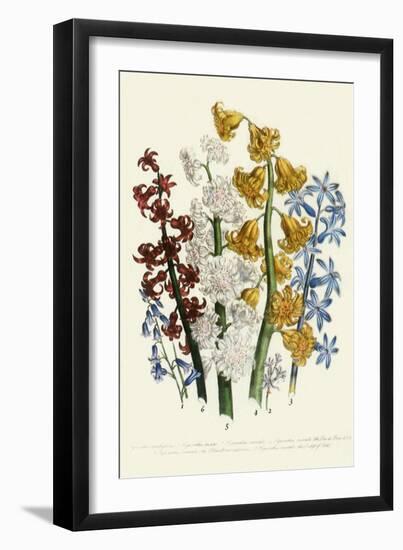 Hyacinths-null-Framed Giclee Print