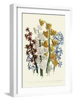 Hyacinths-null-Framed Giclee Print