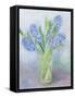 Hyacinths-Sophia Elliot-Framed Stretched Canvas