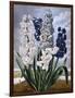 Hyacinths-null-Framed Art Print