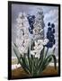 Hyacinths-null-Framed Art Print