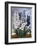 Hyacinths-null-Framed Art Print