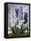 Hyacinths-null-Framed Stretched Canvas