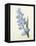 Hyacinthus Orientalis (Common Hyacinth), Engraved by Victor, from 'Choix Des Plus Belles Fleurs',…-Pierre-Joseph Redouté-Framed Stretched Canvas