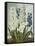 Hyacynths-Robert John Thornton-Framed Stretched Canvas