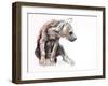 Hyaena Pup, 2019-Mark Adlington-Framed Giclee Print