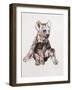 Hyaena Pup, 2019,-Mark Adlington-Framed Giclee Print